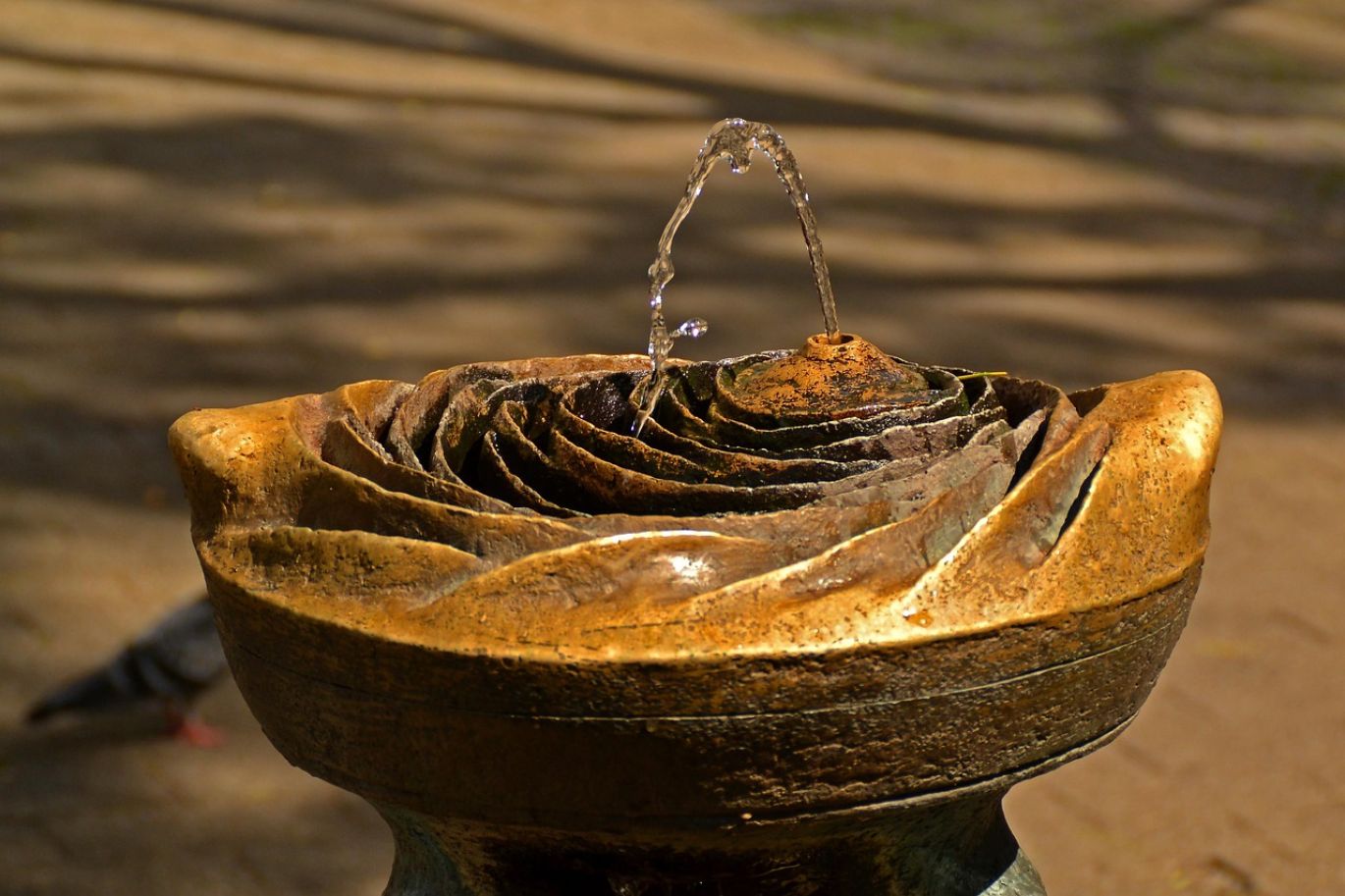 A person carefully adding sodium bicarbonate to a swimming pool to balance water chemistry.