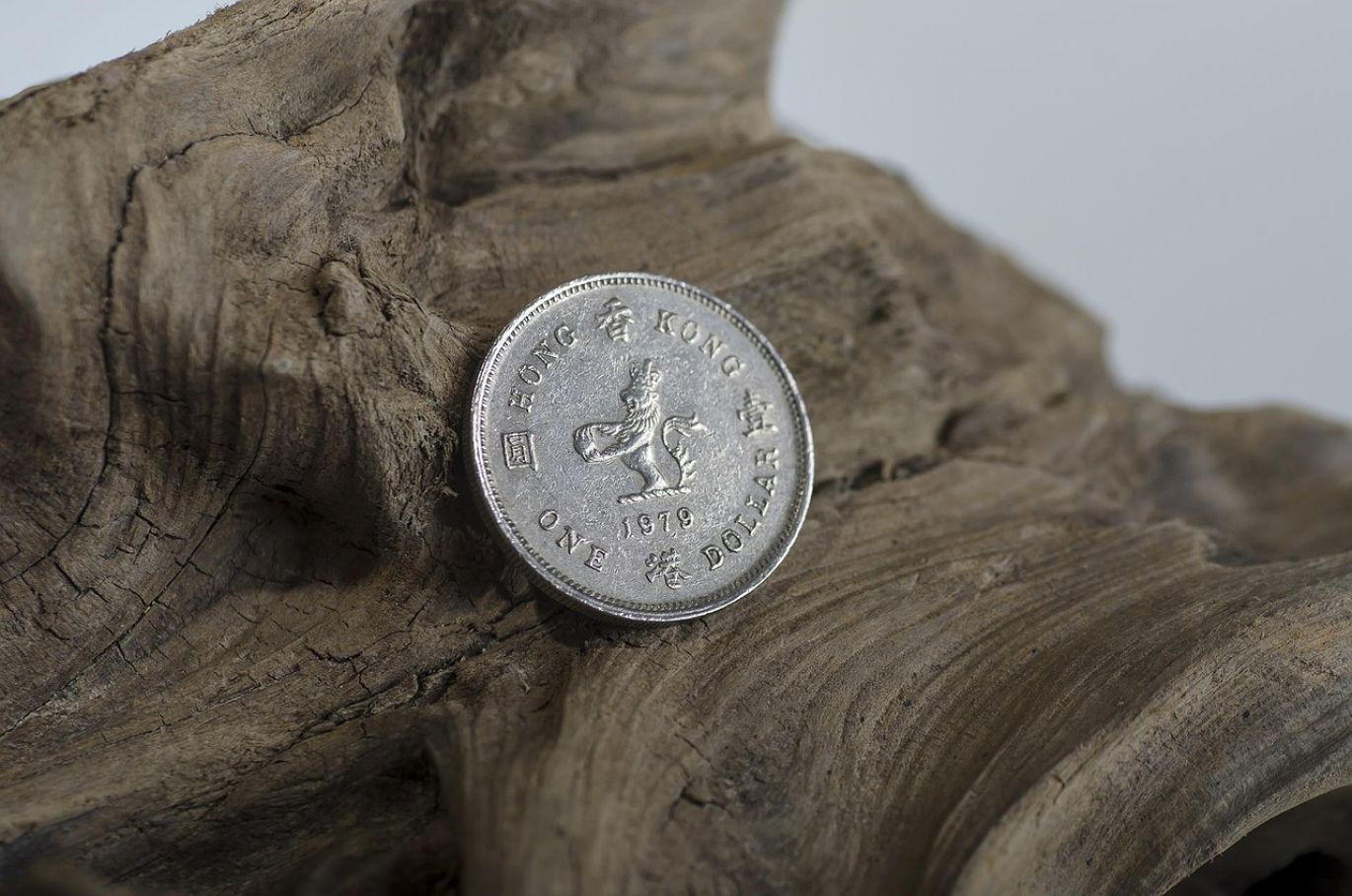 Pile of assorted best silver coins to buy for survival, including American Silver Eagles and Canadian Maple Leafs.
