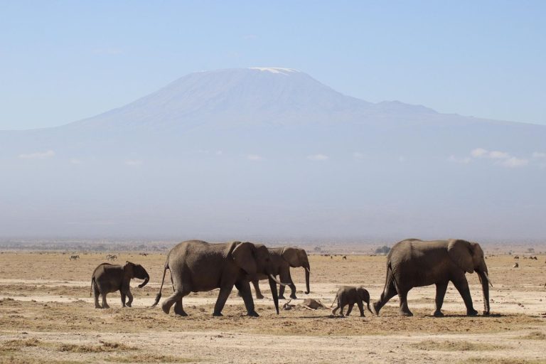 Flanders Mining: Summit Gold Resources connecting Kenya's strategic mineral resources to global markets.