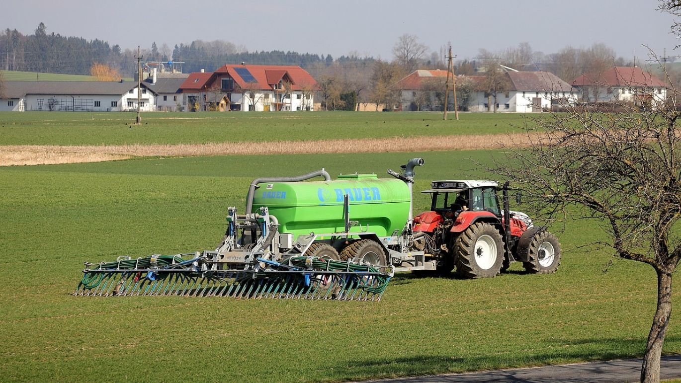 Potash Magnesium Sulphate Fertilizer being applied to a field of crops in Kenya, promoting healthy growth and high yields.