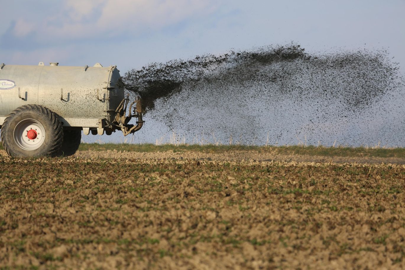 Farmer applying Rock Phosphate Fertilizer to fields in Kenya