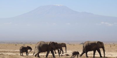 Spotlight Mining - Summit Gold Resources's premier mineral sourcing from Kenya