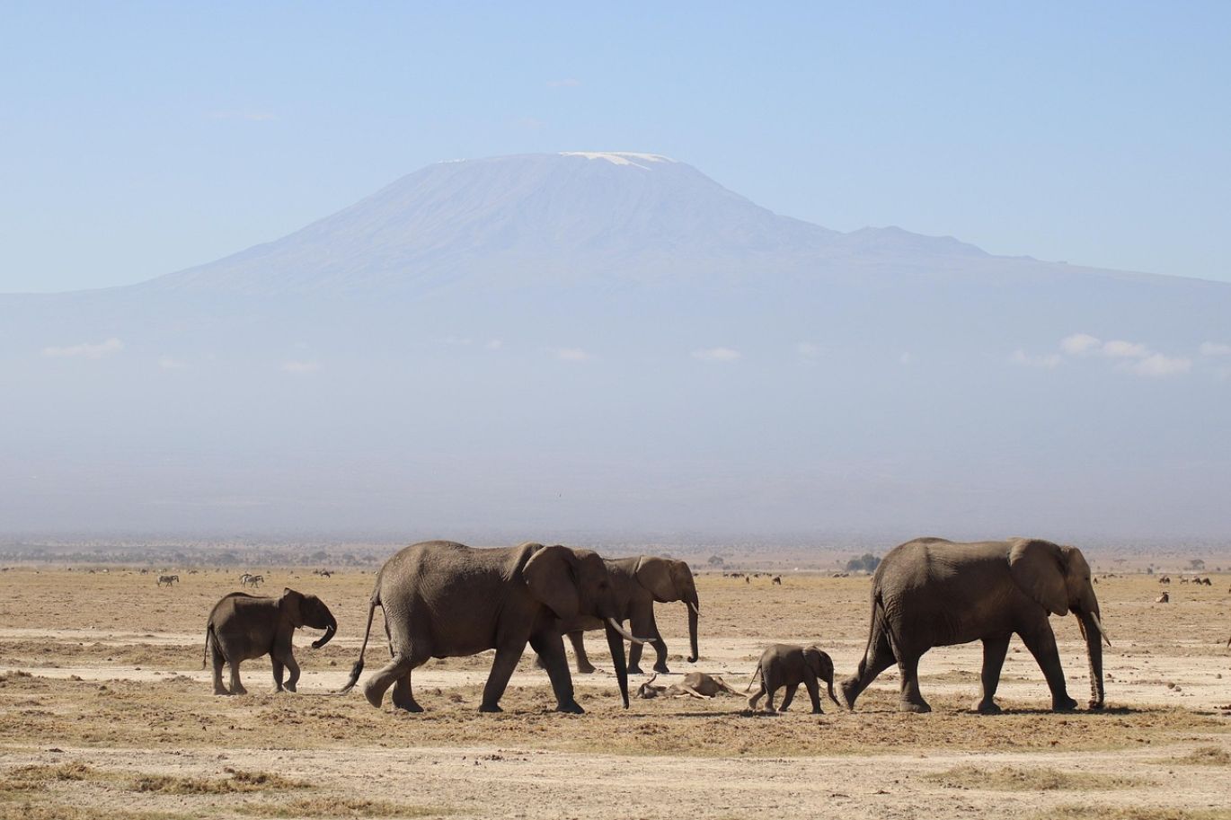 Spotlight Mining - Summit Gold Resources's premier mineral sourcing from Kenya