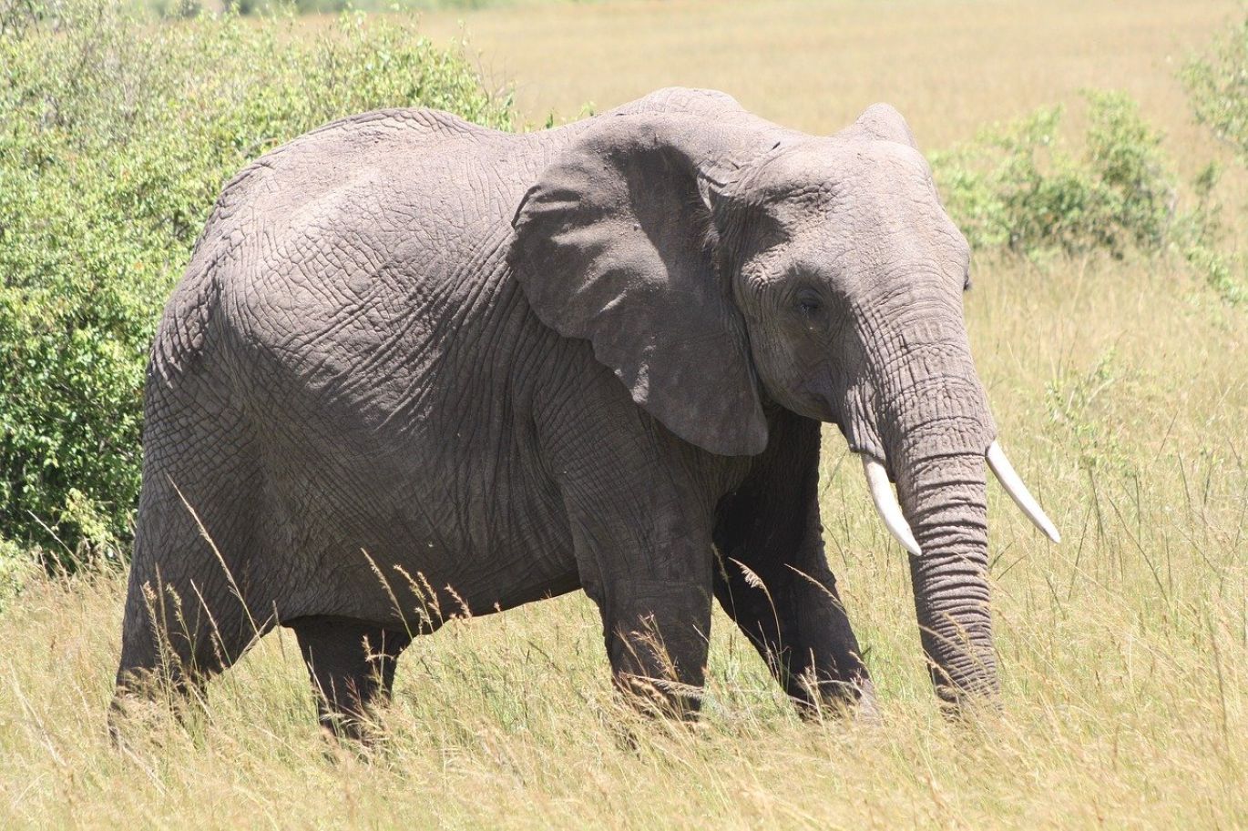 Workers and equipment at a mining site in Kenya, representing We Are Mining efforts